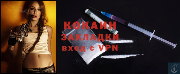 ГАЛЛЮЦИНОГЕННЫЕ ГРИБЫ Вязники