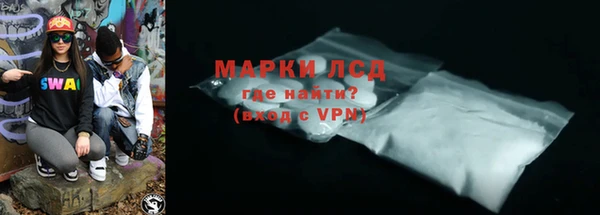 ГАЛЛЮЦИНОГЕННЫЕ ГРИБЫ Вязники