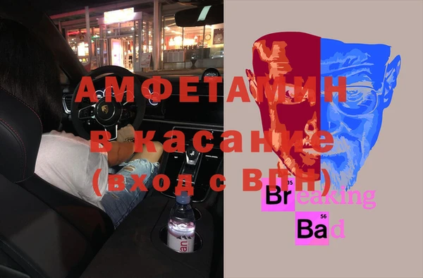 ГАЛЛЮЦИНОГЕННЫЕ ГРИБЫ Вязники