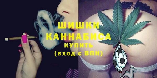 ГАЛЛЮЦИНОГЕННЫЕ ГРИБЫ Вязники